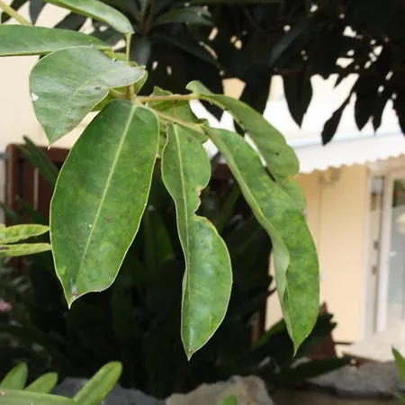 Paraiso Monturrio Oase Der Ruhe לה אורוטבה