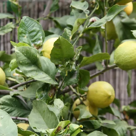 דירה Paraiso Monturrio Oase Der Ruhe לה אורוטבה