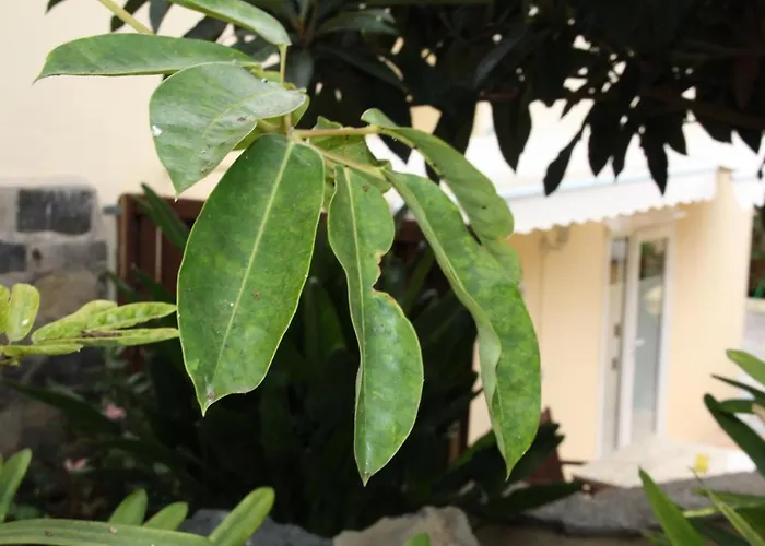 Paraiso Monturrio Oase Der Ruhe 라오로타바