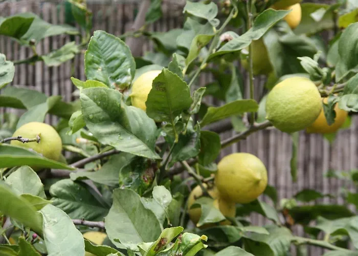 아파트 Paraiso Monturrio Oase Der Ruhe 라오로타바